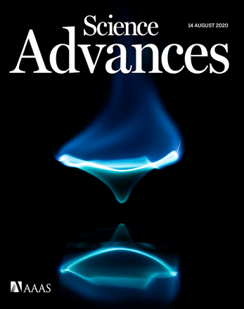 應(yīng)用NMT發(fā)現(xiàn)低濃度ABA促進(jìn)質(zhì)子分泌是根系響應(yīng)水分脅迫和向水性的關(guān)鍵機(jī)制